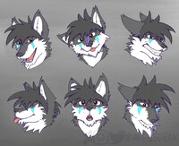 Expressions