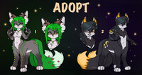 ADOPTS [SOLD]