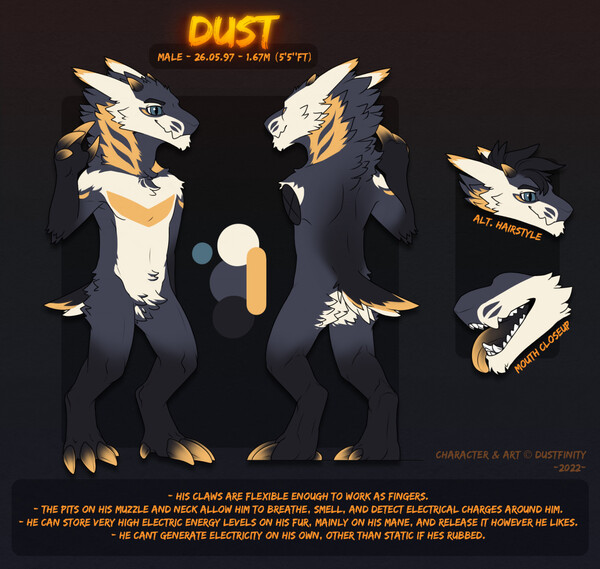 Dust Dream (DustedDreams) (ref sheet 2.0)