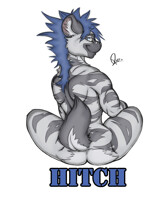 Hitch Badge