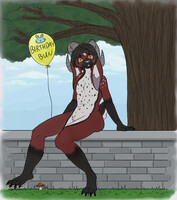 Gift - Birthday Bunny