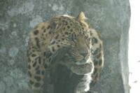 What the hell do I do today?