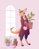 Plant Collecting Roo