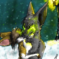  Snowfall