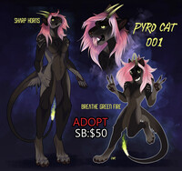Pyro Cat Adopt