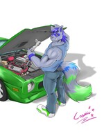 Mechanic at Work