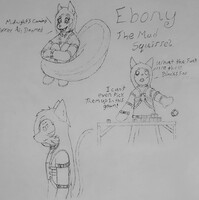 Ebony the mad squirrel~