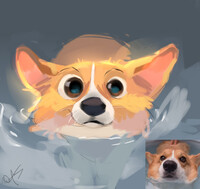 Corgi 🐾