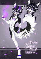 Adopt "Demon Husky" Auction - Closed