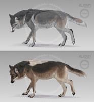 Commission for Wheelsupin30 from DA