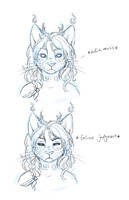 Seriously. -[by DracoFaunus]