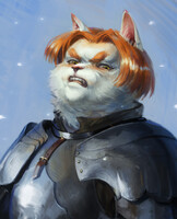 Angry cat