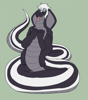 Noodle Doodle