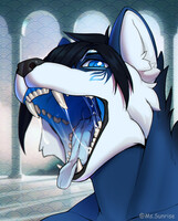 🧊____________🧊