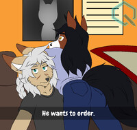 Sahir wants to order