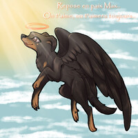 Reposes en paix mon bébé.. ♥