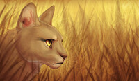 hunter