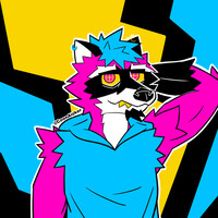 CN raccoon?