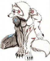 random twilight pose