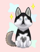 Chibi Siberian Husky classic v2