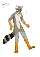 darwin  fox + raccoon