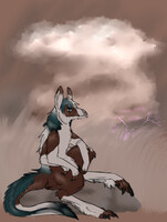 Too few occasions to pray