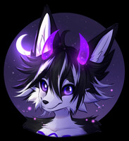 Extra headshot - Demon Husky