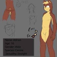 Adrian Reference sheet (rough)