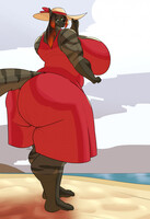 Commission - Drude's View