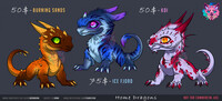 Home Dragons for adopt!