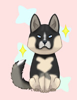 Chibi Siberian Husky agouti v2
