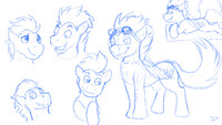 Soarin Sketch Page