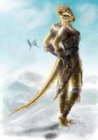 The way of the Voice