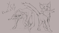 YCH: Daulity OPEN