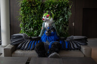 looking towards future days