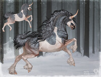 Horse Adopt (closed)