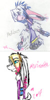 Compare - Merionette