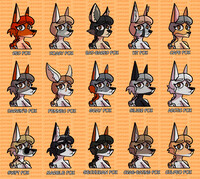 15 flavors of Constance !