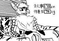 24岁，事砼龙（撅信）