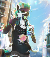 Summer in the City