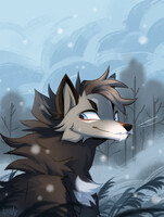 redraw