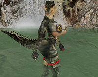 Crocodile