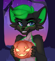 🎃Pumpkin c.1