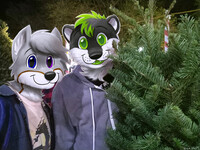 2 Furries and a Fir Tree
