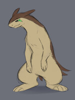 Typhlosion