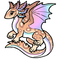 Caramel Pastel Axo Dragon (sold)