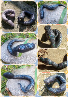 Rainbow Shimmer Snake Plush