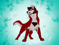 Going feral!