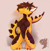 DrakeFem