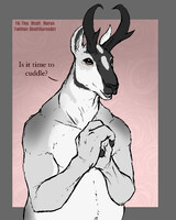 {iarann} Cuddle Buddies?